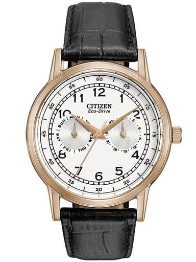 Citizen Eco-Drive Multi Function Day & Date Ao9003-16A