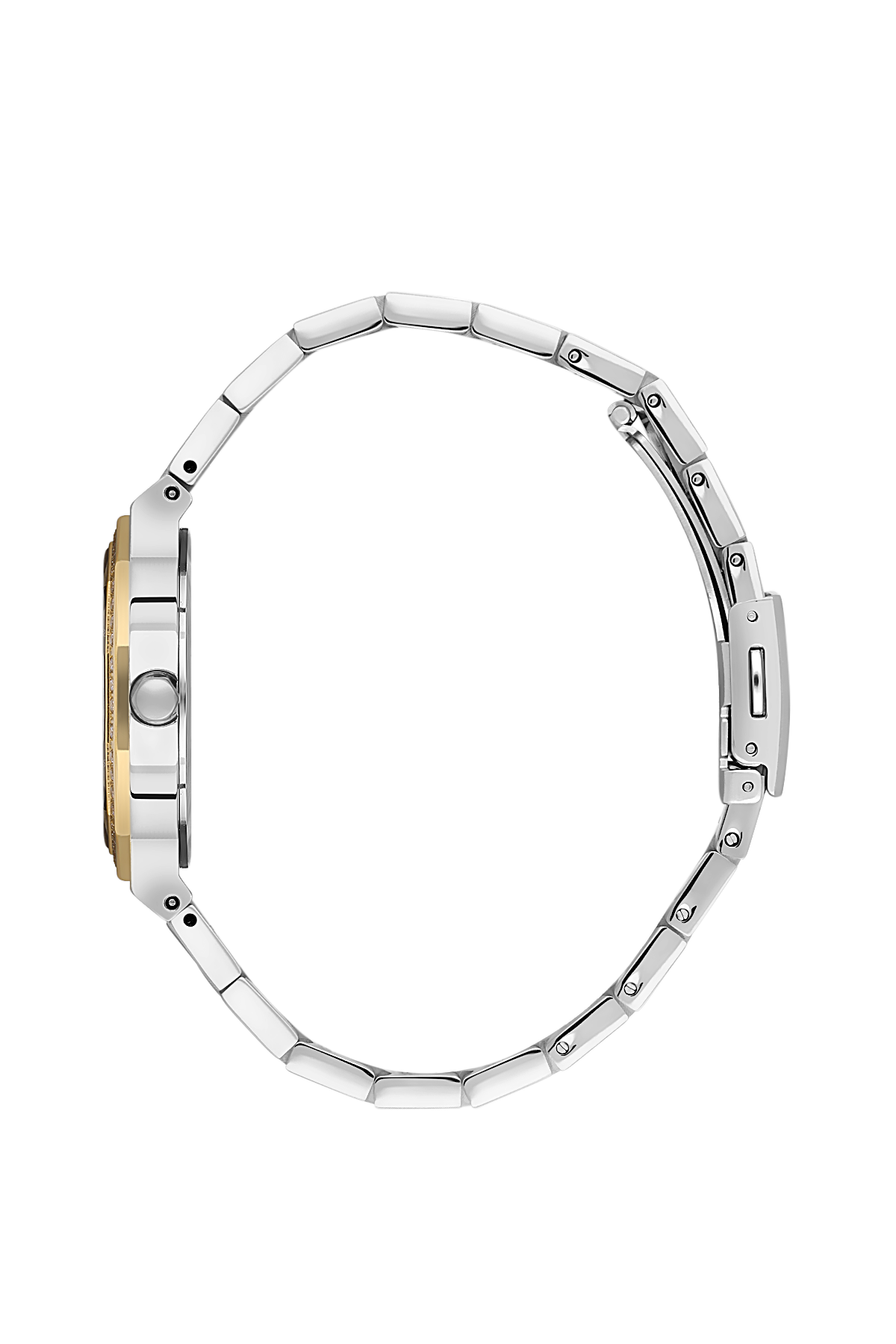 Santa Barbara Polo SB.1.10552-4 Women Gender Watch