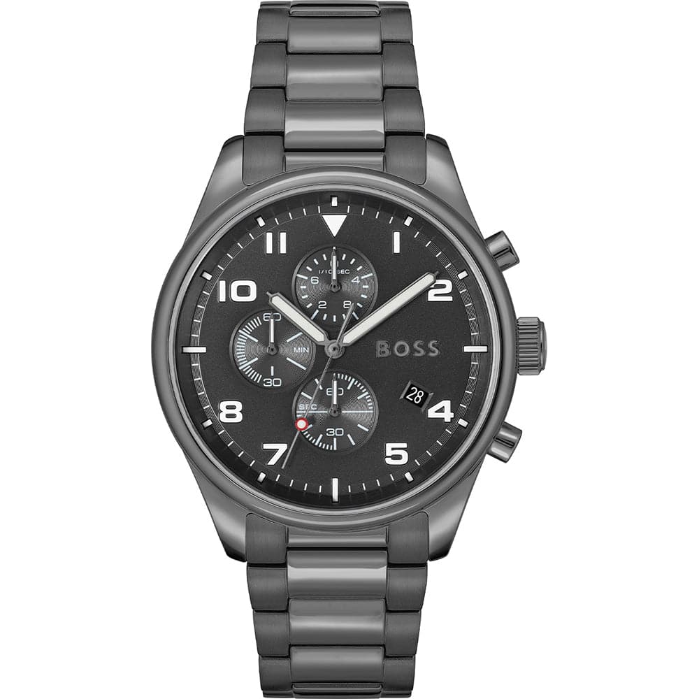 Hugo Boss View Watch 1513991